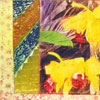 thumbnail.jpg